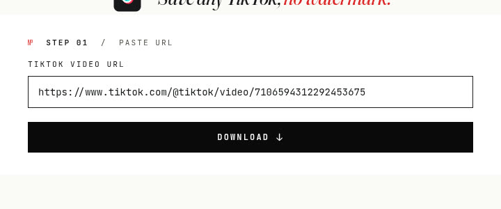 Enganxa un formulari d'URL amb un enllaç de TikTok a l'entrada i un botó de Descàrrega